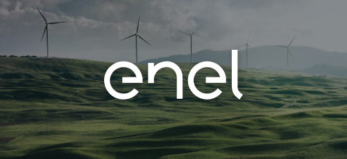 ENEL Case Study