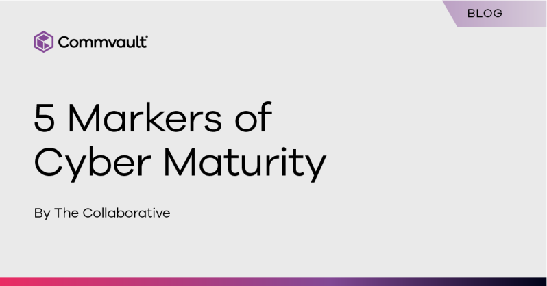 5 Markers of Cyber Maturity 